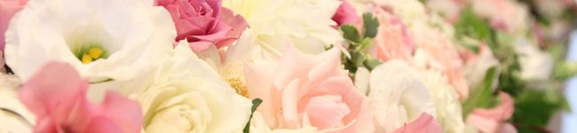 haco858's header image