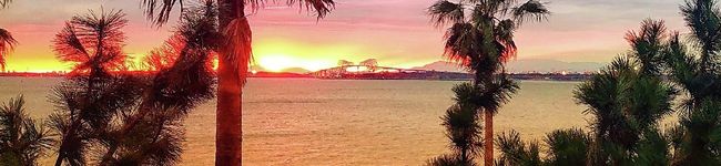 みeeeee's header image