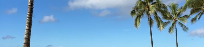 yuumamy's header image