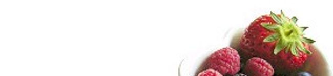 rapita's header image