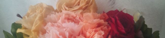 merosu34's header image