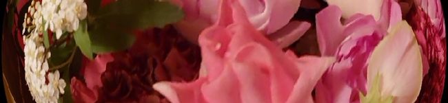 ユタアキ's header image