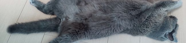 enjoyrody's header image