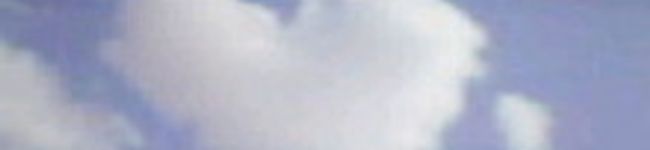こじまあい's header image
