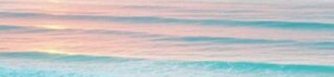 由まろ's header image