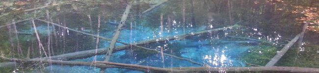 blue_sky_'s header image