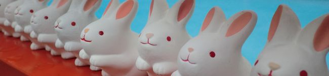 豆大福＊＊'s header image