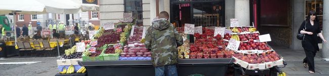 Yakkocco's header image