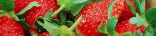 ぃちごぱぃ's header image