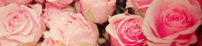 ☆mayuki☆'s header image
