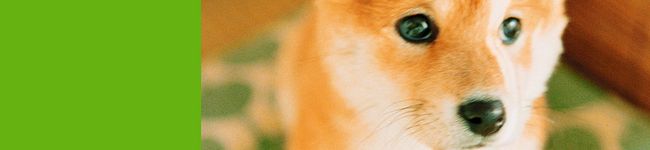 遥月ママ's header image