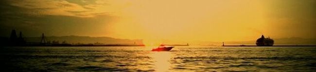 rnlkarnl's header image