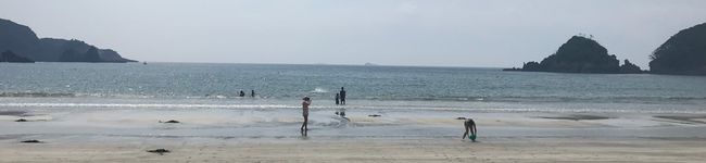 プチほのか's header image