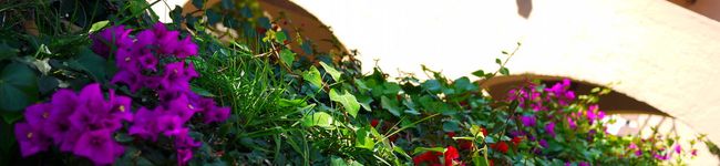 JlovesS's header image