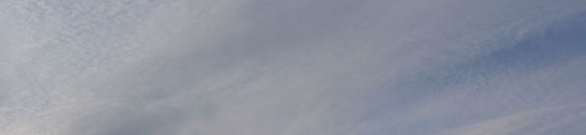 alice-yurara's header image