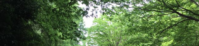 のりぱいん's header image
