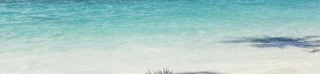まーみんＣＯＯＫ's header image