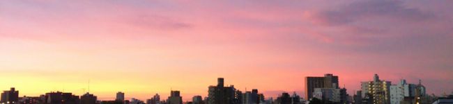 ricald's header image
