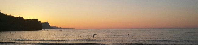anna0306's header image