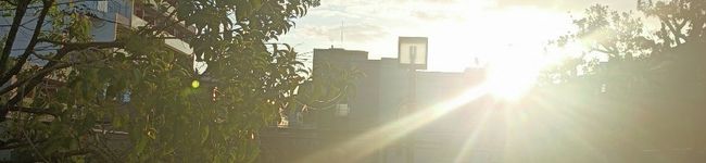 nagazane's header image