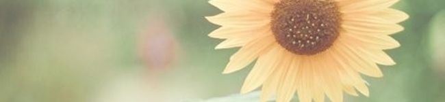 ariari＊'s header image