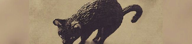 kurouneko's header image