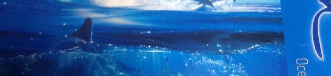 hiroyomegu's header image