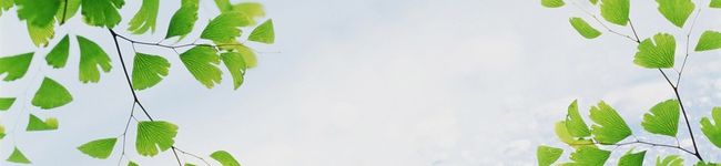 たまペコ's header image