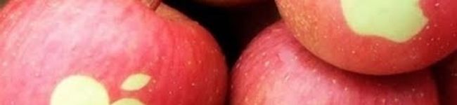 ricochobi's header image