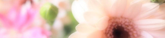 ココァ's header image