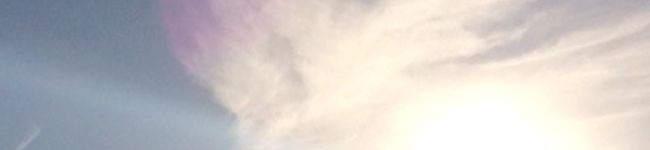 piyoppy's header image