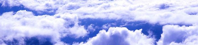 とむとむとむ's header image