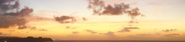 sue110's header image
