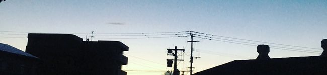 薔薇さん's header image