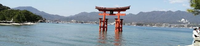 さるぱんだ's header image