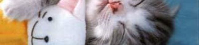 あづうり's header image