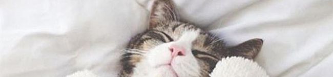 綾瀬朱輝's header image