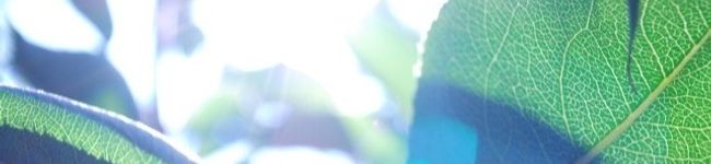 abcdeli's header image