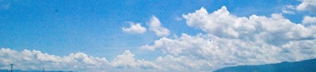 おさかなソーセージ's header image