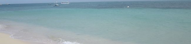 sao5432's header image