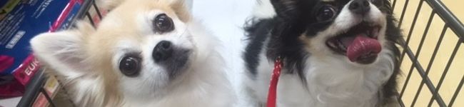 mari2n's header image