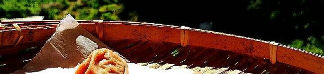tanatosu00's header image
