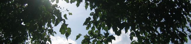NEILIEN's header image