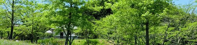 mkw135's header image