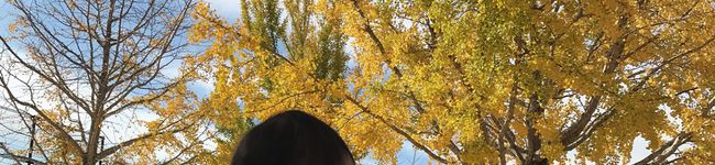 azlyn's header image