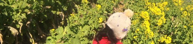 kame0924's header image