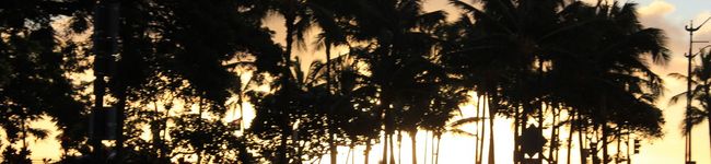 Leilah's header image