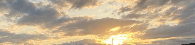太陽とたまご's header image