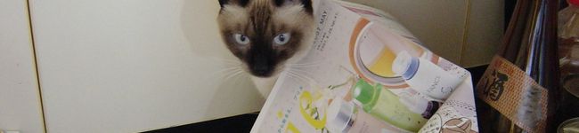 Sweetcaramel's header image