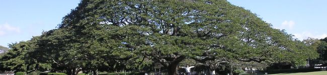 miyukky's header image